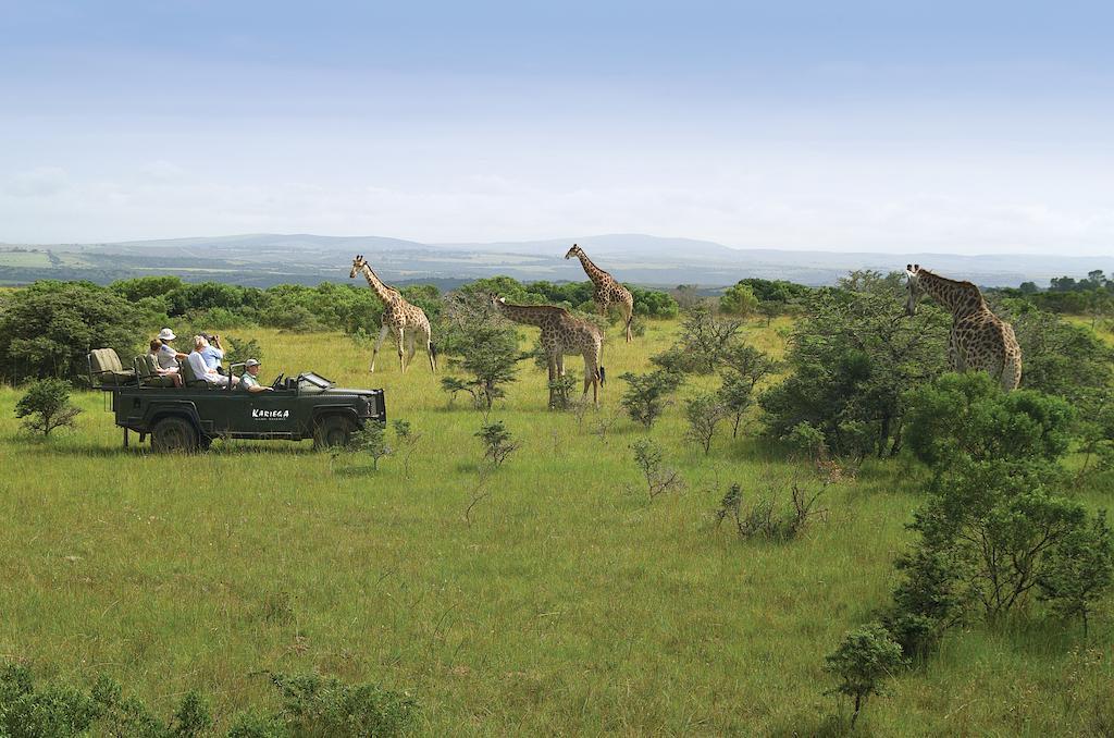 Kariega Game Reserve River Lodge