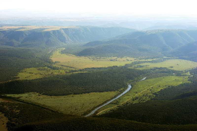 Kariega Game Reserve River Lodge